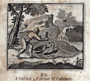De vogel, de rond en de leeuwerik. Fabels door Jean de La Fontaine (1621-95). Illustratie door François Chauveau (1613-1676). Editie van 1728. door Francois Chauveau