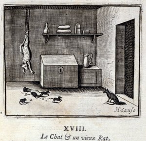 De Kat en een Oude Rat door Francois Chauveau