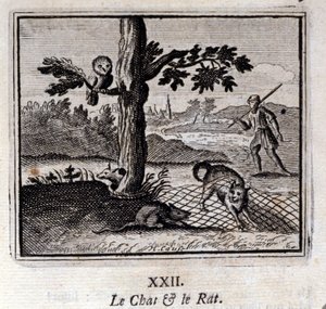 De Kat en de Rat