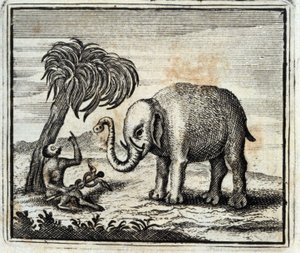 De olifant en de aap van Jupiter. Fabels door Jean de La Fontaine. Illustratie door François Chauveau. Editie van 1728