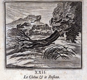 De Eik en het Riet. Fabels van Jean de La Fontaine. Illustratie door François Chauveau. Editie van 1728.