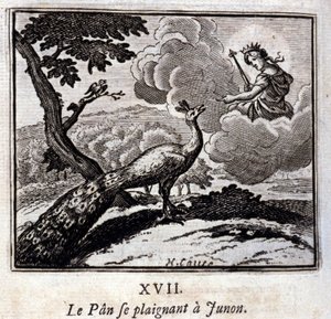 De Pauw die klaagt bij Juno. Fabels van Jean de La Fontaine. Illustratie door François Chauveau. Editie van 1728. door Francois Chauveau