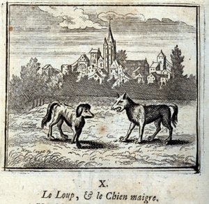 De Wolf en de Magere Hond
