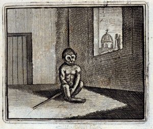 De Aap door Francois Chauveau