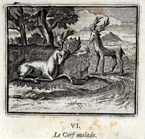 Het zieke hert. Fabels door Jean de La Fontaine (1621-95). Illustratie door François Chauveau (1613-1676). Editie van 1728. door Francois Chauveau