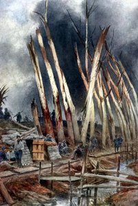 Het 0ffensief bij IJzer (1917)