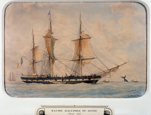 Walvisvaarder in Havre