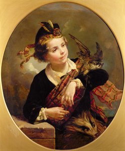 De havik