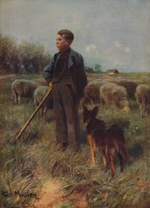 De jonge herder