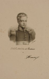Henri Charles Ferdinand Marie Dieudonne de France, Hertog van Bordeaux, Graaf van Chambord door Francois Seraphin Delpech