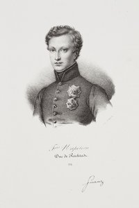 Portret van Napoleon II door Francois Seraphin Delpech