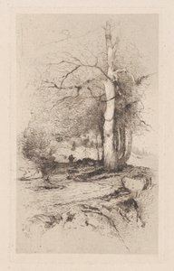 Landschap, 1890 door Frank Anderson