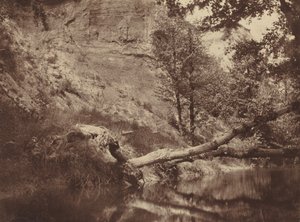 Rivieroever,ca. 1855 (foto)