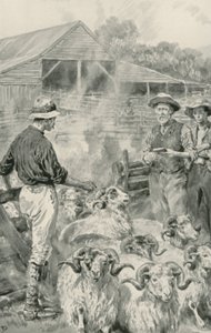 Een schapenstation op Canterbury Plains door Frank Dadd