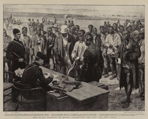 Het zwarte element in Natal, het innen van de hut- en hondbelasting