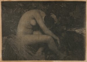 De krekel