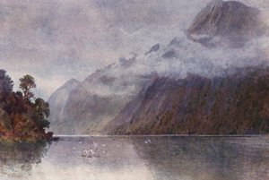 Nieuw-Zeeland: In Milford Sound