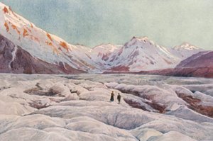 Nieuw-Zeeland: De Tasman-gletsjer