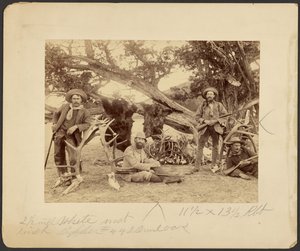 Lispenard Stewart party, #6 - 5th Ave., N.Y. met trofeeën bij oude cederboom, Mammoth Hot Springs, Yellowstone National Park door Frank Jay Haynes