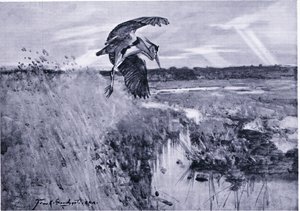 Jack Harnser-Heron