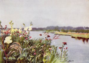 Norfolk Broads: Een Bure Bank