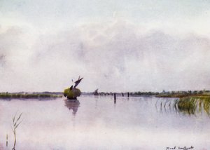 Norfolk Broads: Hooi-boot op Hickling Broad door Frank Southgate