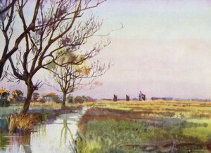 Norfolk Broads: Moerasland bij Barton