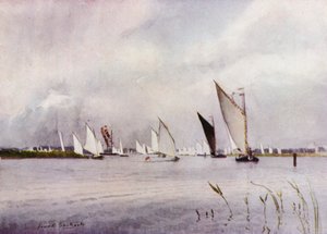 Norfolk Broads: Regatta bij Hickling