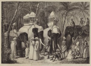 De Olifanten van de Radja van Travancore
