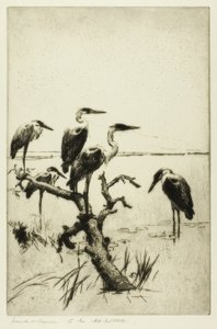Rustende reigers door Frank Weston Benson