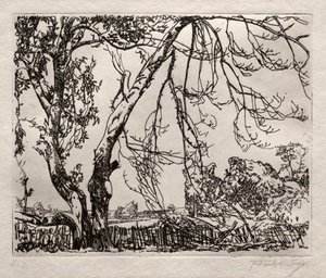 Appelboom