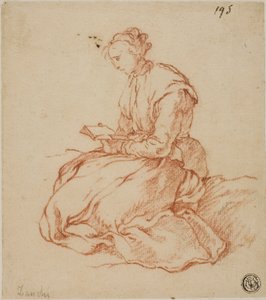 Zittende vrouw die leest