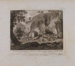 Uve (sic) van de Grotte des Chevres (nr. X)