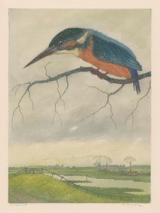 IJsvogel op een tak in een weidelandschap