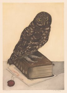 Uil zittend op een boek door Frans Everbag (signed by artist)