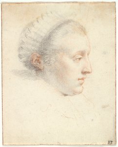 Profielportret van een Dame door Frans II Pourbus