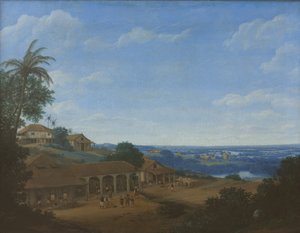 Landschap in Brazilië met suikerplantage