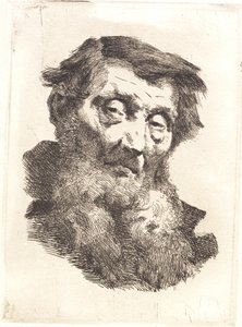 Oude man met gespleten grijze baard