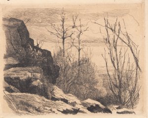 Proefplaat: Landschap met rotsen en bomen