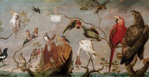 Vogelconcert. Schilderij door Frans Snyders (Snijders) (1579-1657) 17e eeuw Madrid, Prado Museum