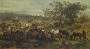 Paarden bij een trog