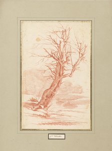 Boomstudie door Franz Edmund Weirotter