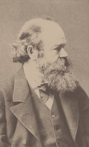 Portret van de componist Robert von Hornstein 1833-1890 door Franz Hanfstaengl