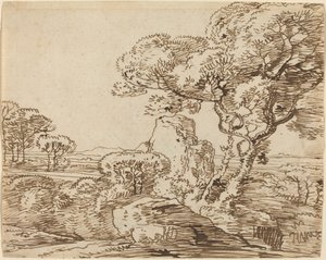 Landschap met bomen en rotsachtige kliffen
