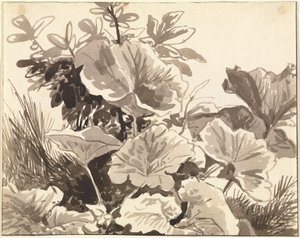 Studie van hoefbladbladeren door Franz Innocenz Kobell