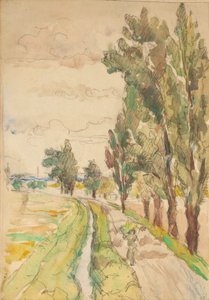 Landweg met bomen