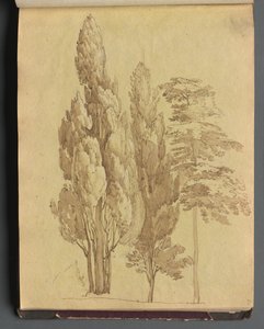 Album met Zichten op Rome en Omgeving, Landschapsstudies, pagina 15a: Bomen door Franz Johann Heinrich Nadorp