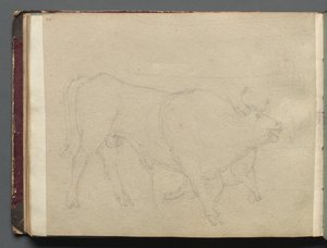 Album met Zichten op Rome en Omgeving, Landschapsstudies, pagina 51b: Studie van een Stier door Franz Johann Heinrich Nadorp