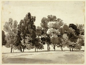 Bos van Bladerrijke Bomen door Franz Kobell