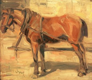 Kleine paardenstudie